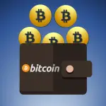 mejor-bitcoin-carteras-para-usuarios-de-la-india-invertir-en-bitcoin