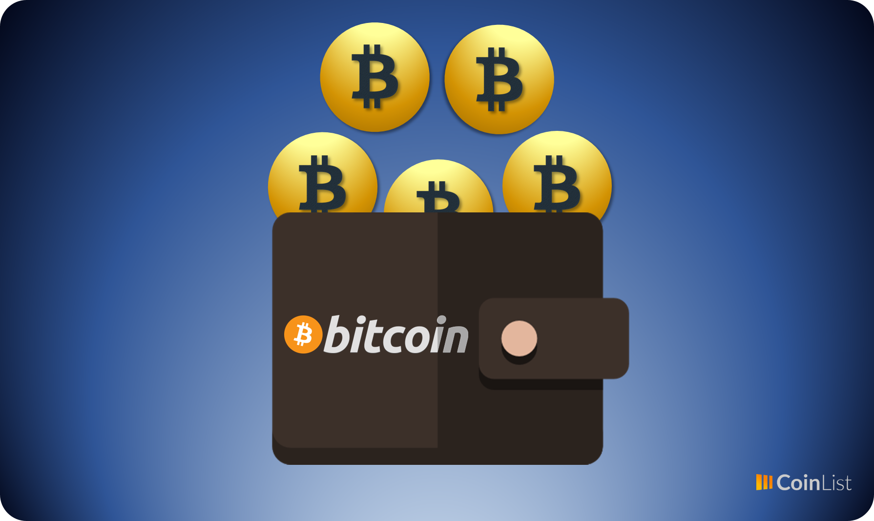 What Is The Cheapest Bitcoin Wallet In India? - Bitcoin ...